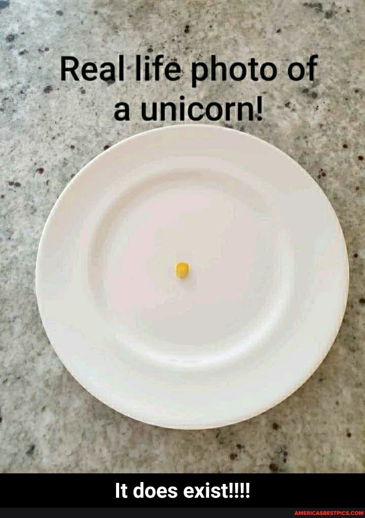 Real life of a unicorn! It does exist!!! It does exist!!!! America