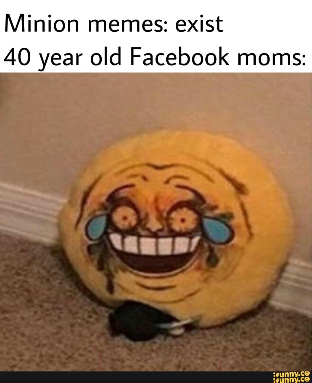 Minion memes: exist 40 year old Facebook moms.