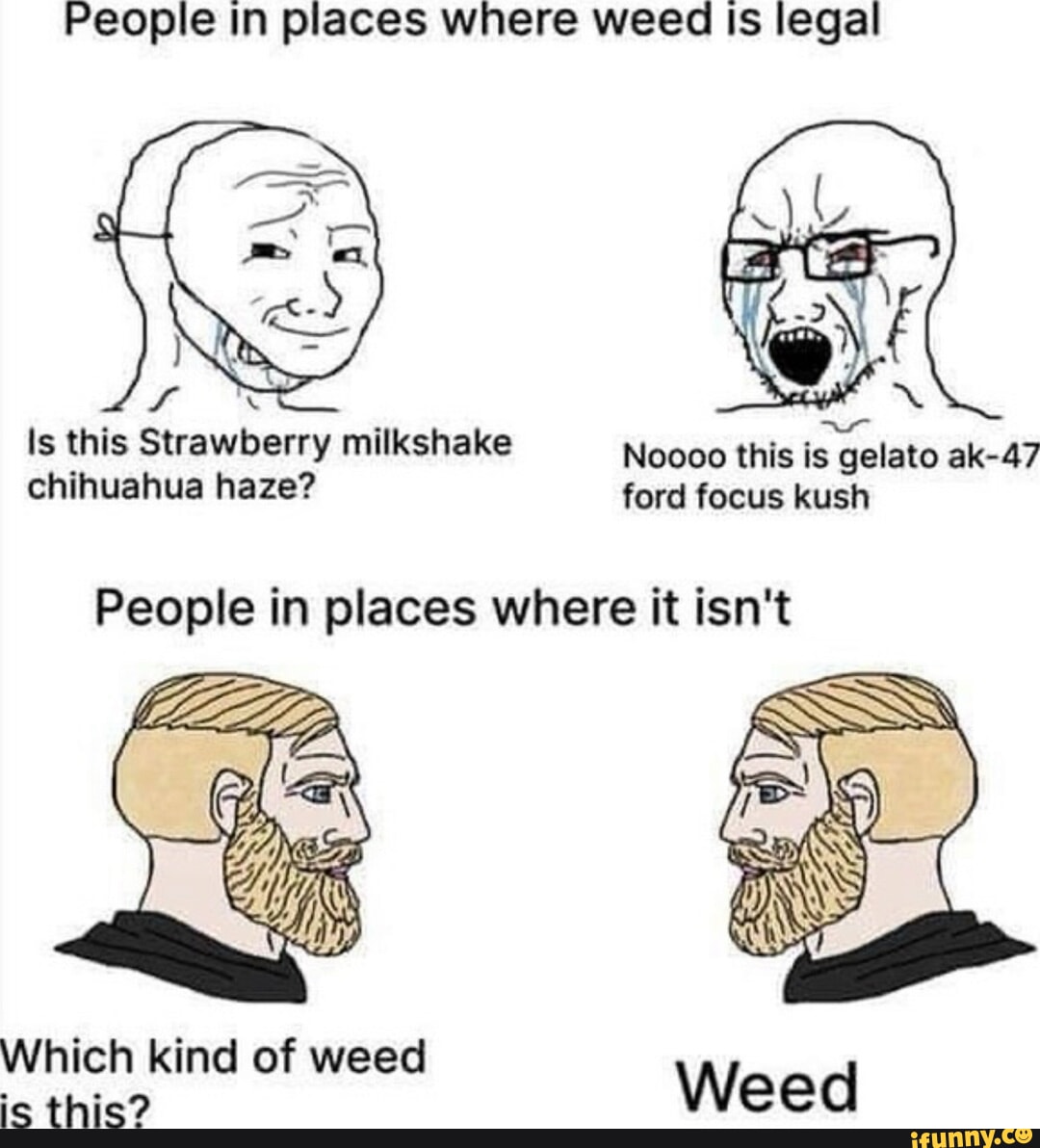 Video memes zl5oyvp3b by wolfeyes 3 comments ifunny