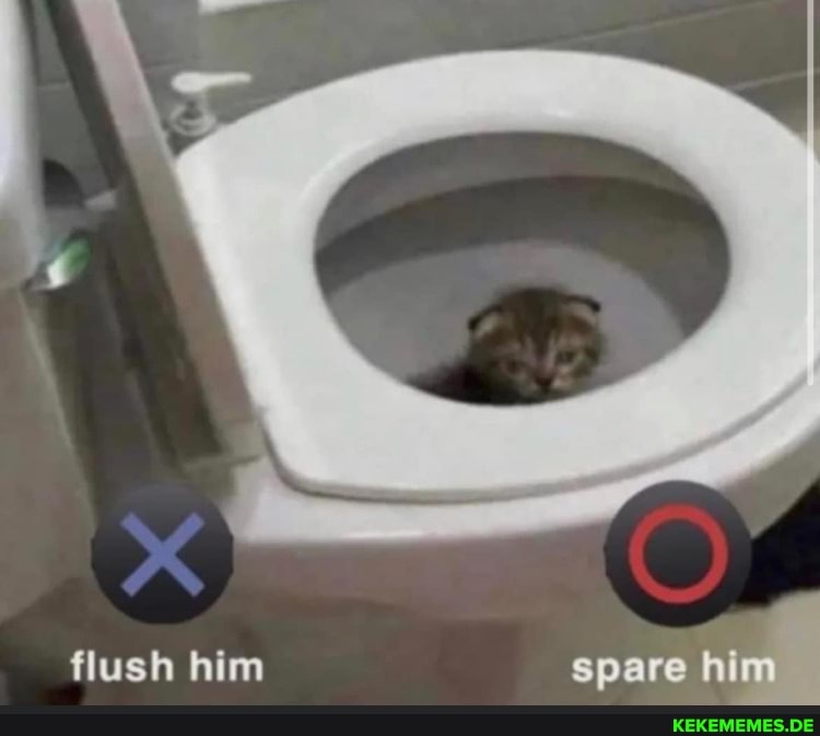 flush him spare him
