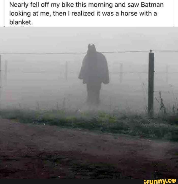 Nearly fell off my bike this morning and saw Batman looking at me, then I  realized it was a horse with a _ blanket. - iFunny