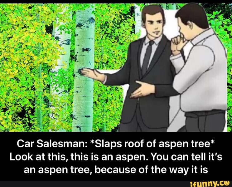 Car Salesman Slaps Roof Of Aspen Tree Look At This This Is An Aspen You Can Tell It S An Aspen Tree Because Of The Way It Is
