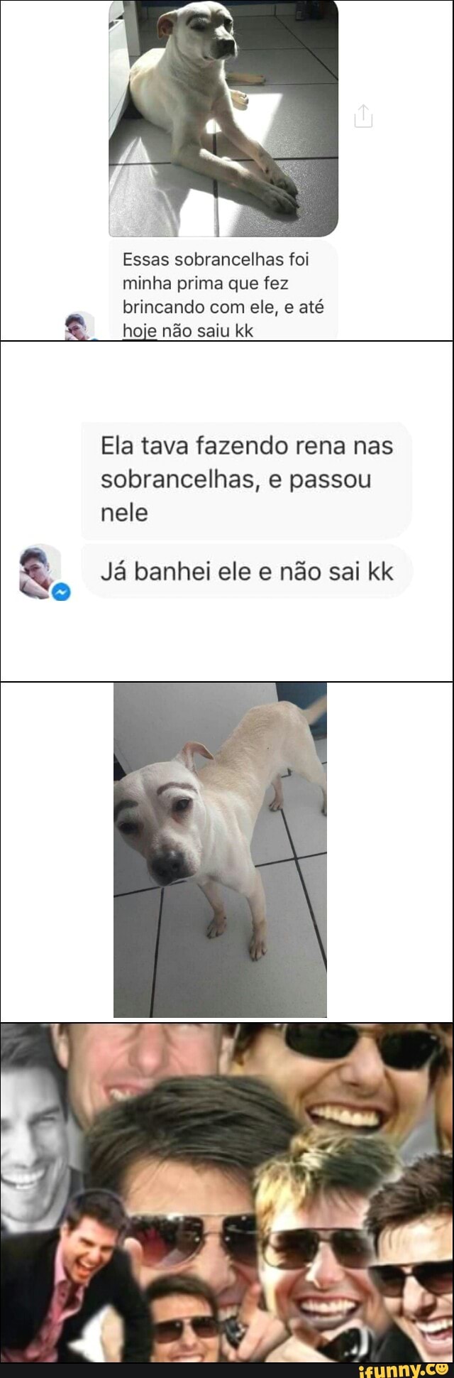 Essas sobrancelhas foi
minha prima que fez
brincando com ele, e até
2 hoje não saiu kk
Ela tava fazendo rena nas
sobrancelhas, e passou
nele
Já banhei ele e não sai kk