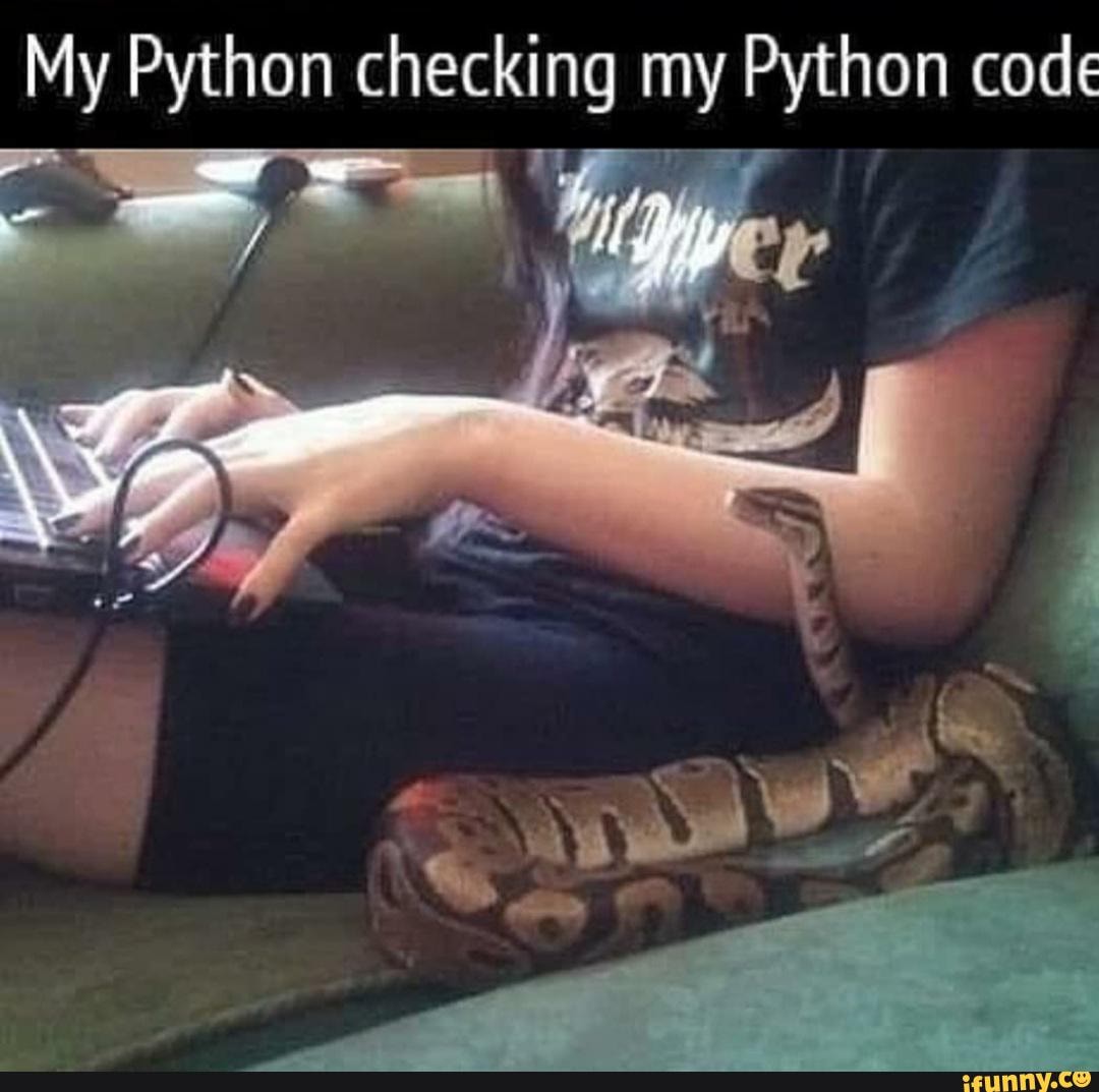 My Python checking my Python code
