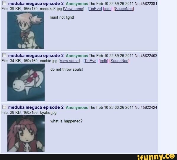 Meduka memes. Best Collection of funny Meduka pictures on iFunny