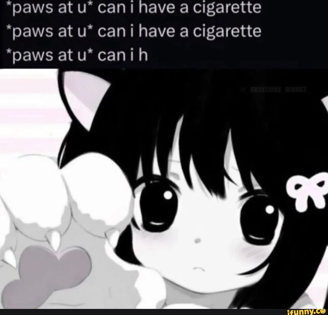 paws at you can i have a cigarette paws at can I have a cigarette *paws at u* can i have a cigarette *paws  atu* canih