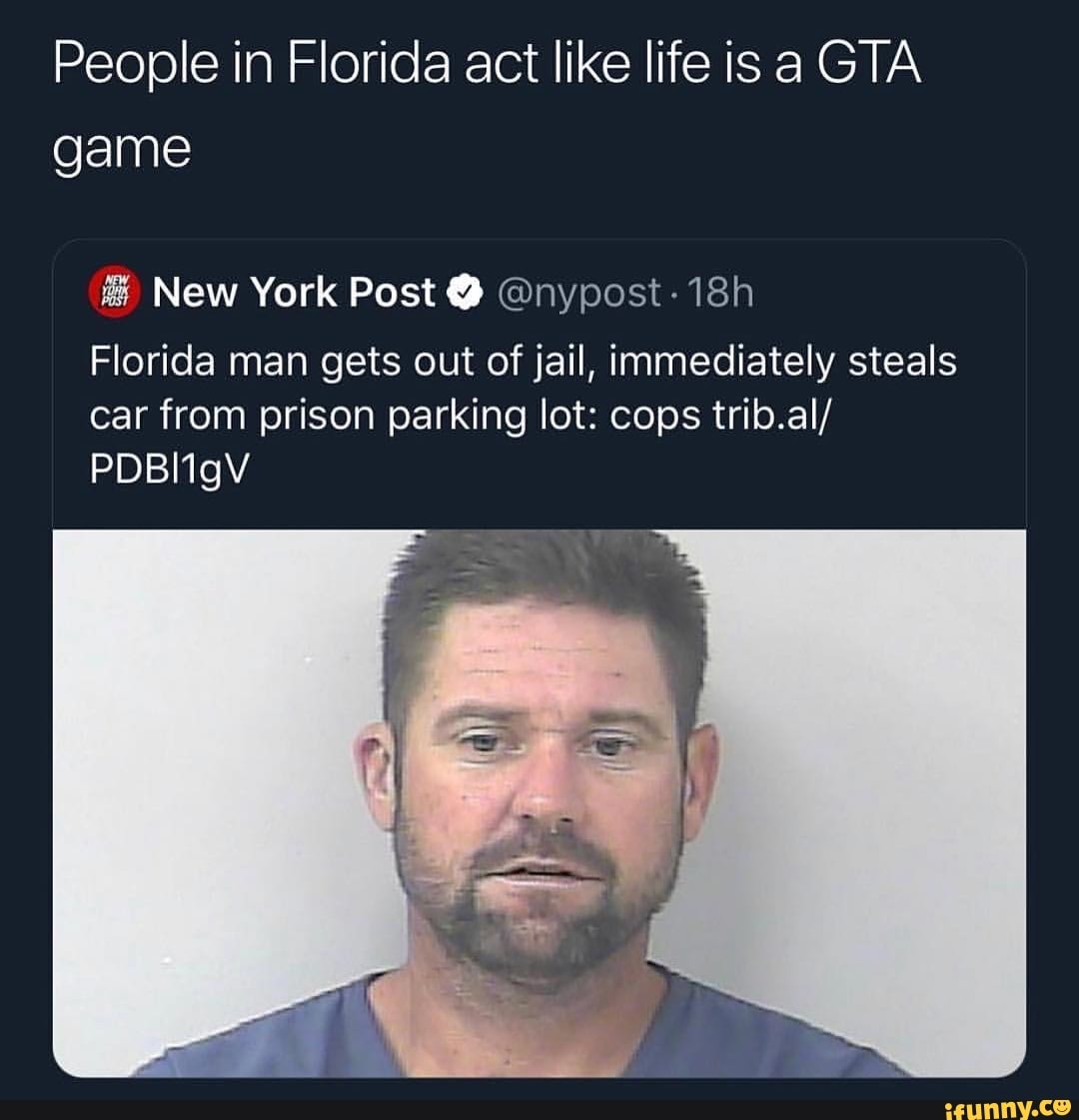 People in Florida act like life is a GTA game w New York Post ª @nypost ...
