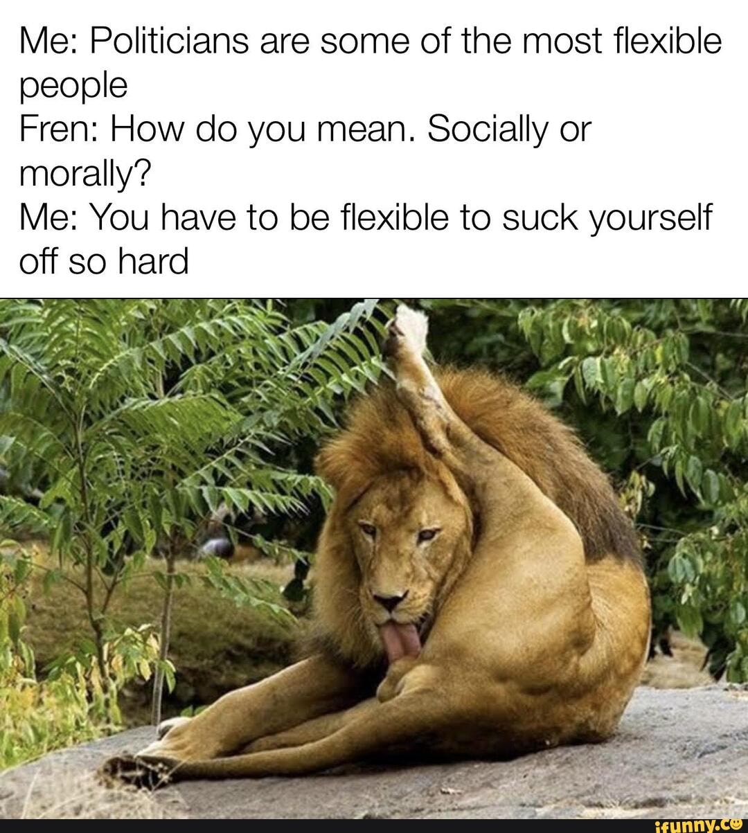 Me: Politicians are some of the most flexible people Fren: How do you mean.  Socially or morally? Me: You have to be flexible to suck yourself off so  hard - iFunny