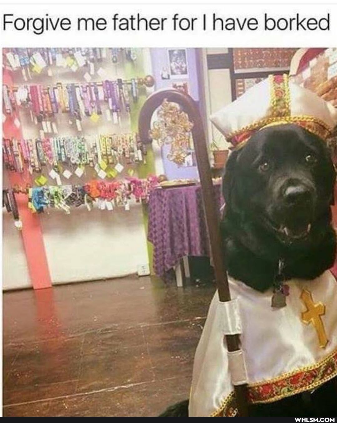 Forgive me father for I have borked