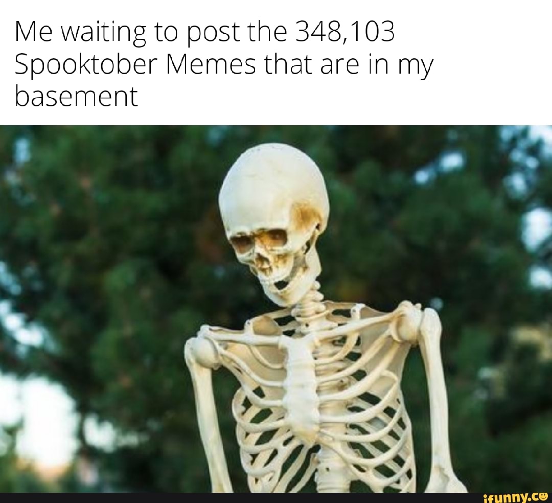 Me waiting to post the 348,103 Spooktober Memes that are in my basement ...