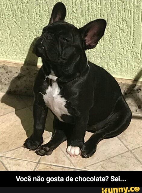 Você não gosta de chocolate? Sei... - Você não gosta de chocolate? Sei...