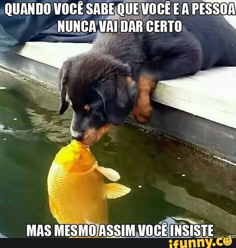 QUANDO VOCÊ SABEQUEVOCÊ EA PESSOA
NUNCA VAI DAR