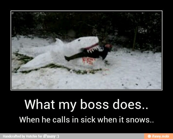 What my boss does..
When he calls in sick when it snows.. - What my boss does..
When he calls in sick when it snows..