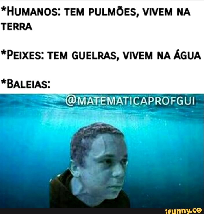 *HUMANOS: TEM PULMÕES, VIVEM NA TERRA
*PEIXES: TEM GUELRAS, VIVEM NA ÁGUA
*BALEIAS:
EMATICAPROFGUI