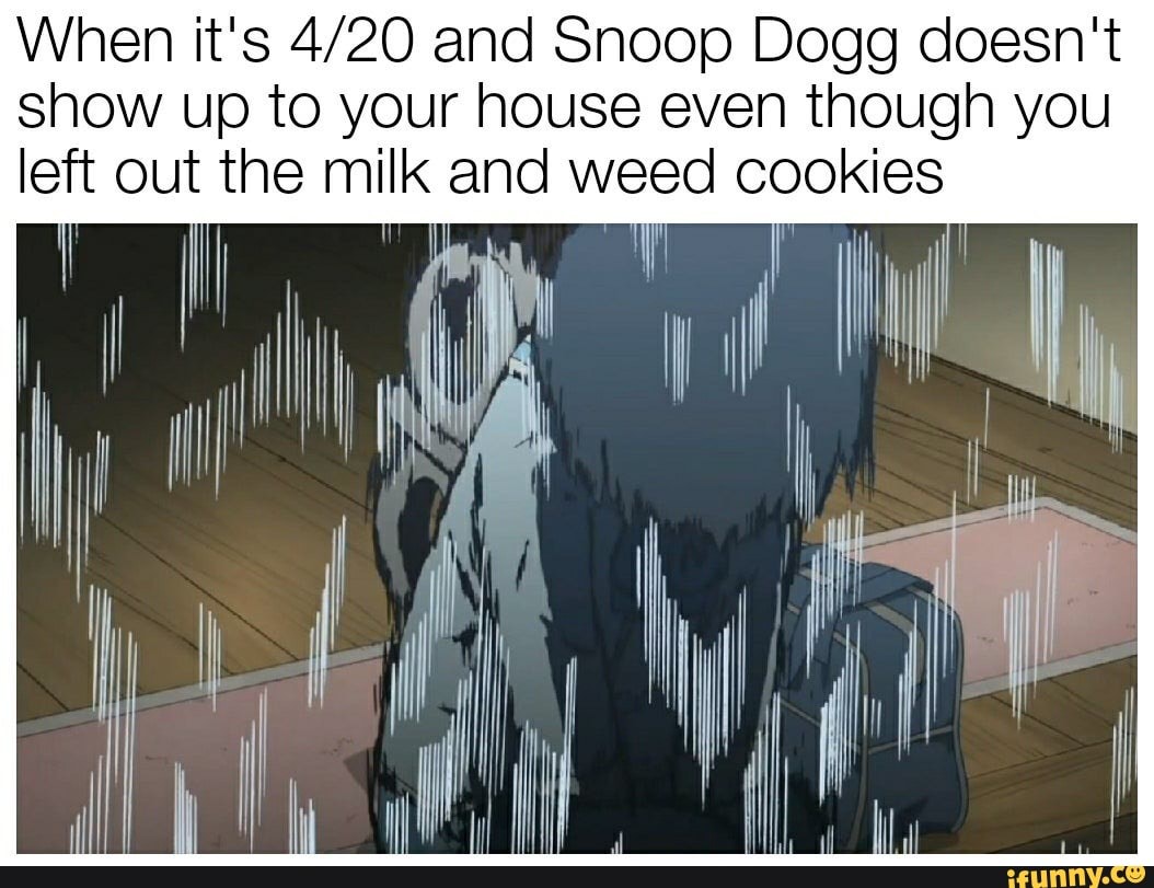 When it's and Snoop Dogg doesn't show up to your house even though you left out the milk and weed cookies
il