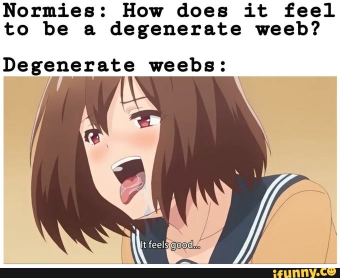 Anime memes and all things degenerate