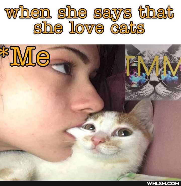 When ghe thas she love cars