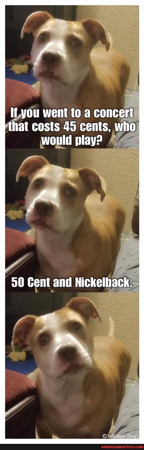 If you went to a concert that costs 45 cents, who would play?
50 Gent and Nickelhack.