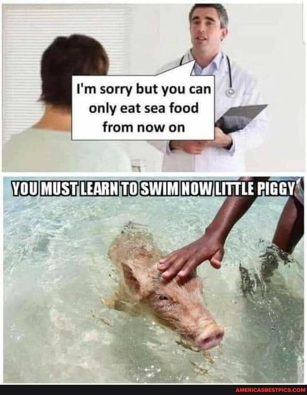 I'm sorry but you can only eat sea food from now on
YOU MUST LEARH TO SWIM ROW PIGGY