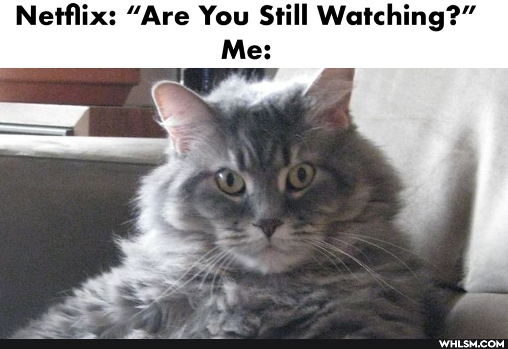 Netflix: "Are You Still Watching?"
Me: