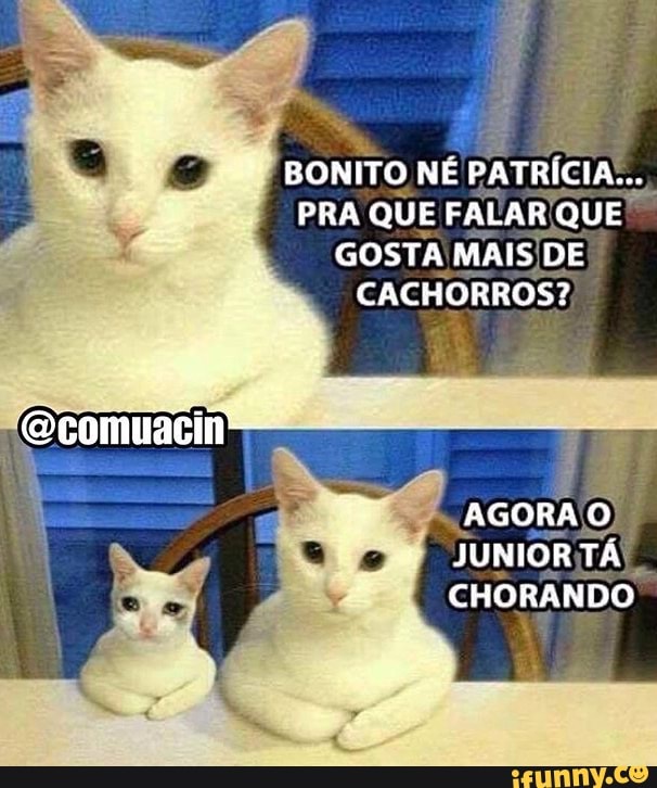 BONITO NÉ
PATRÍCIA
a
PRA QUE FALAR QUE'
GOSTA MAIS/DE
CACHORROS?