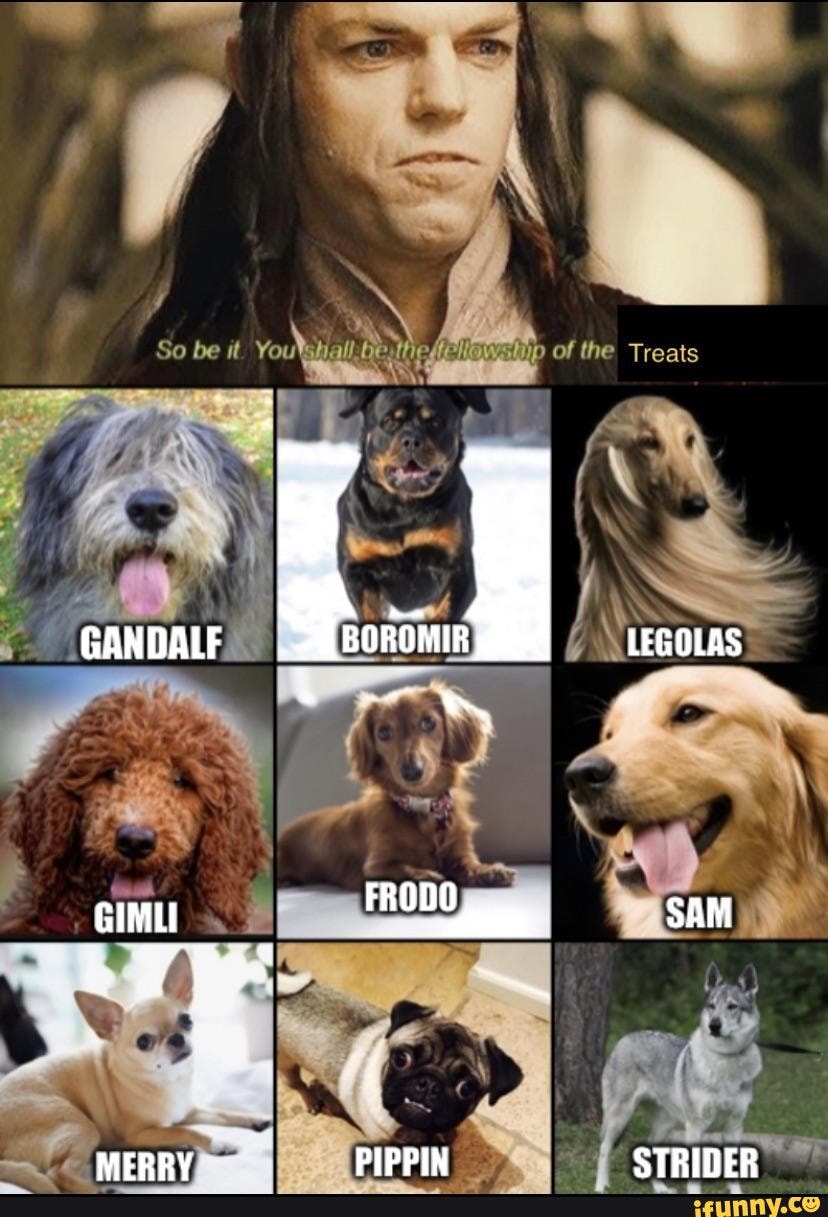 Of the Treats as GANDALF LEGOLAS GIMLI FRODO SAM MERRY PIPPIN STRINER -  iFunny