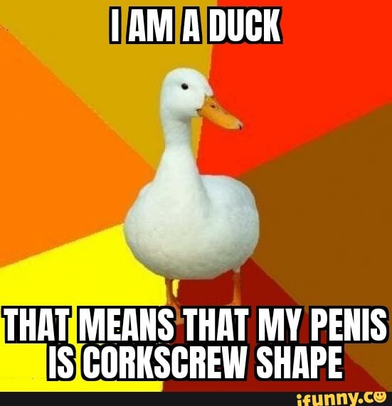 I AM A DUCK THAT MEANS THAT MY PENIS IS CORKSCREW SHAPE iFunny