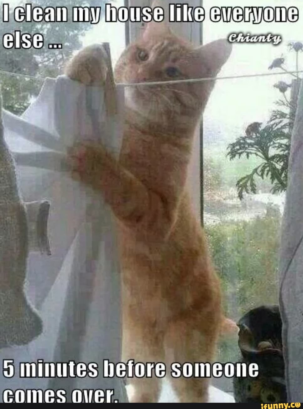 a
comes over
t
O
minutes hefore
pee