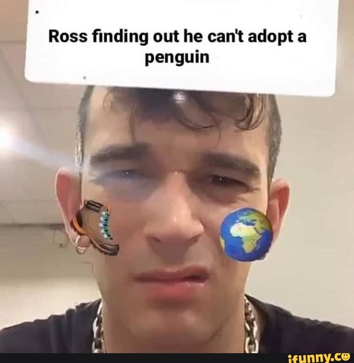 penguin
q Ross finding out he can't adopt a
I
i