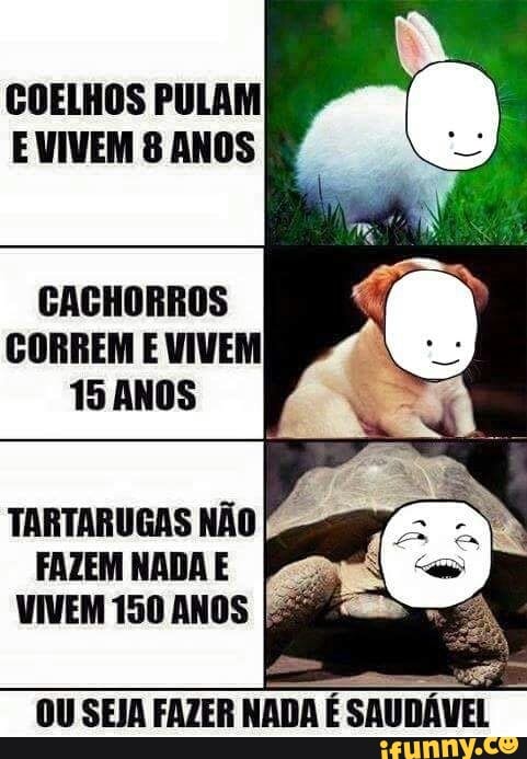 COELHOS PULAM
EVIVEM 8 ANOS
CACHORROS
CORREM E VIVEM
15 ANOS
TARTARUGAS NÃO
FAZEM NADAE
Ps
VIVEM 150 ANOS [SM
OUSEJA FAZER NADA
É SAUDÁVEL