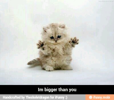 Im bigger than you - Im bigger than you