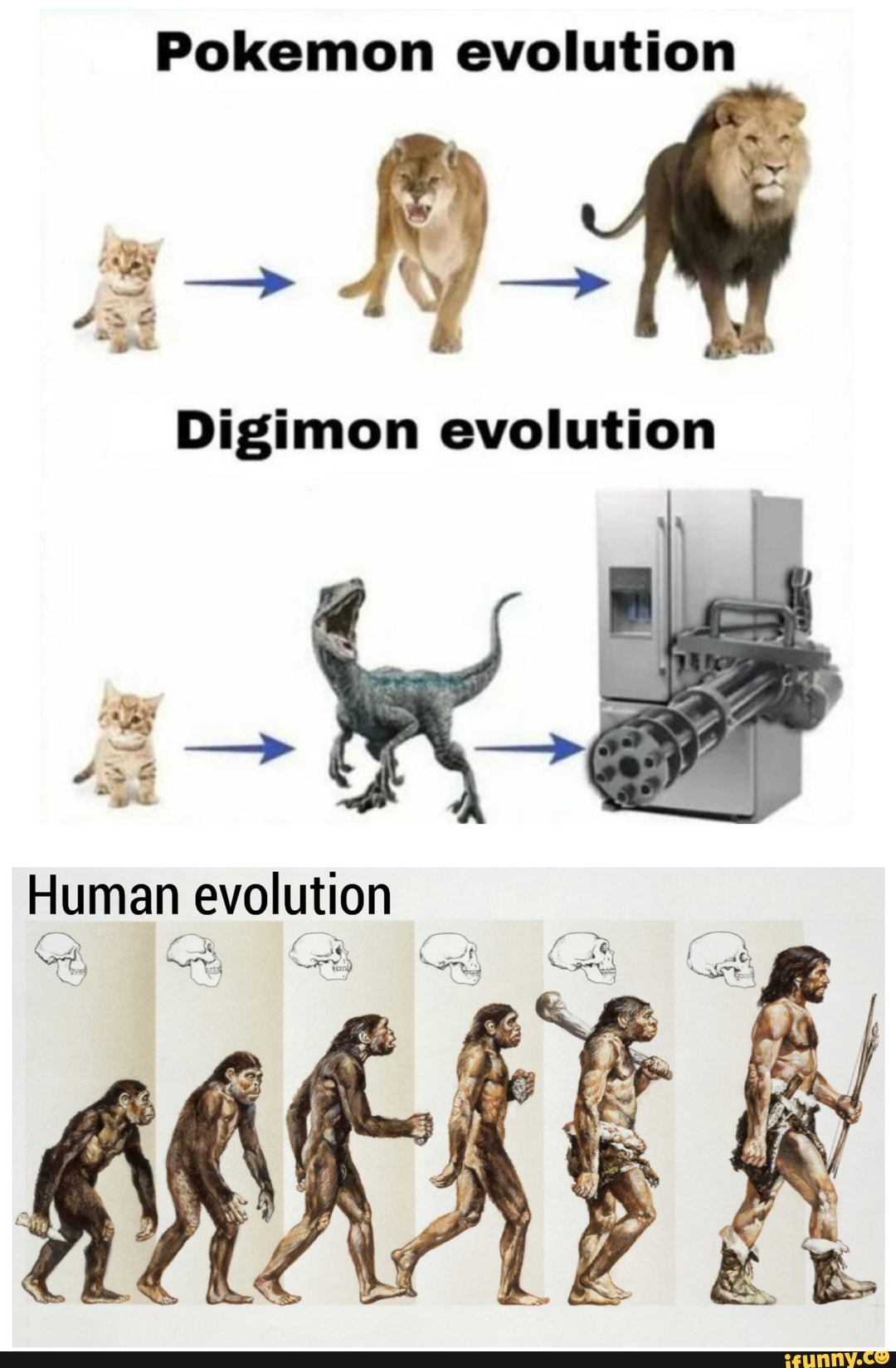 Pokemon evolution Digimon evolution Human evolution GR - iFunny