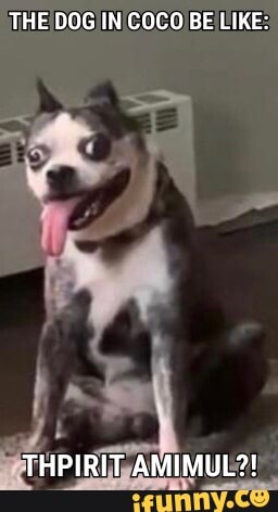THE! DOG/INICOCO BE LIKE: