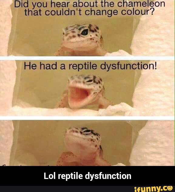 Did you hear about the chameleon
that couldn't change colour?
He had a reptile dysfunction!
Lol reptile dysfunction - Lol reptile dysfunction