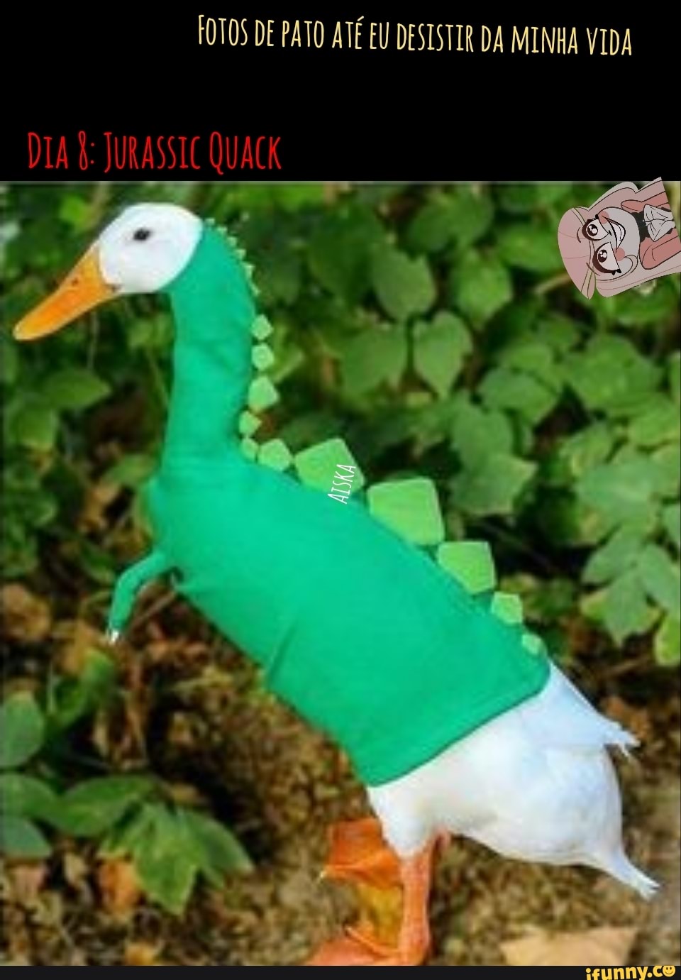 FOTOS DE PATO ATÉ EU DESISTIR DA MENHA VIDA
DIA JURASSIC QUACK