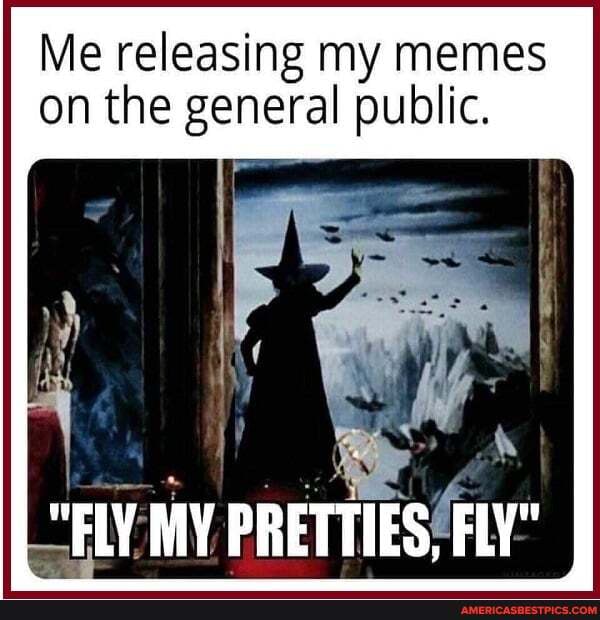 Me releasing my memes on the general public.
"FLY MY PRETTIES FLY"