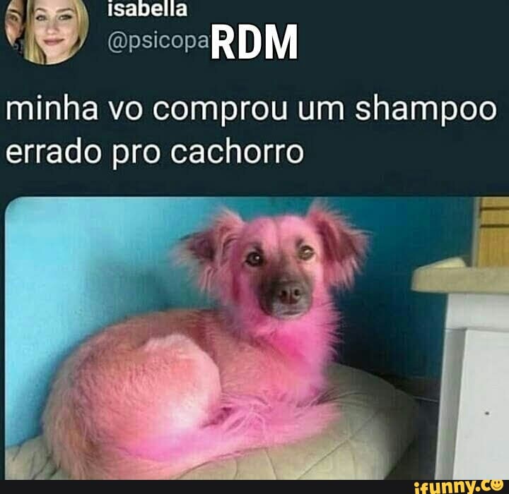 minha vo comprou um shampoo
errado pro cachorro