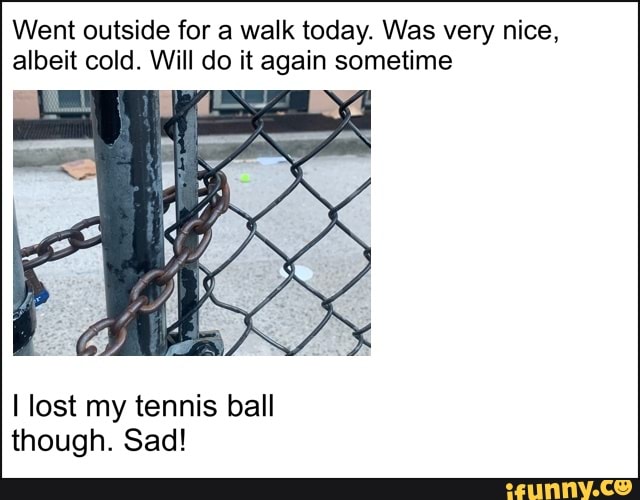 Went outside for a walk today. Was very nice, albeit cold. Will do it again sometime
di-~ -
lost my tennis ball though. Sad!