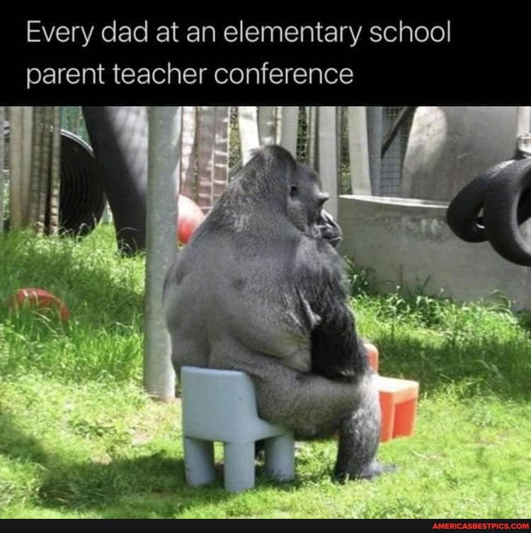 Every dad at an elementary school parent teacher conference
