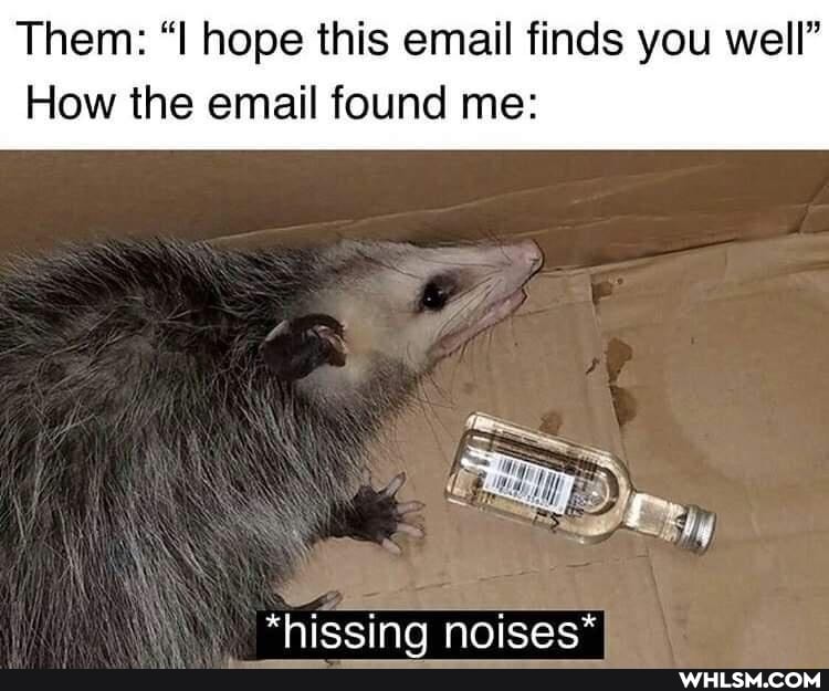 Them: "I hope this email finds you well"
How the email found me:
*hissing noises*