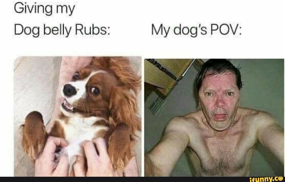 Giving my
Dog belly Rubs: My dog's POV: