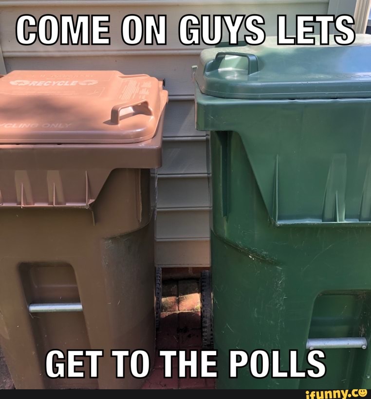 GET TO THE POLLS