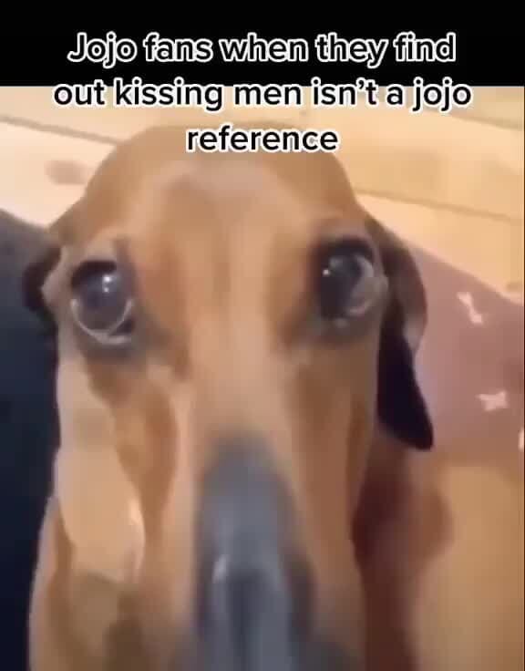 Jefo Fans When They Find Out Kissing Men Isn T Jojo Reference
