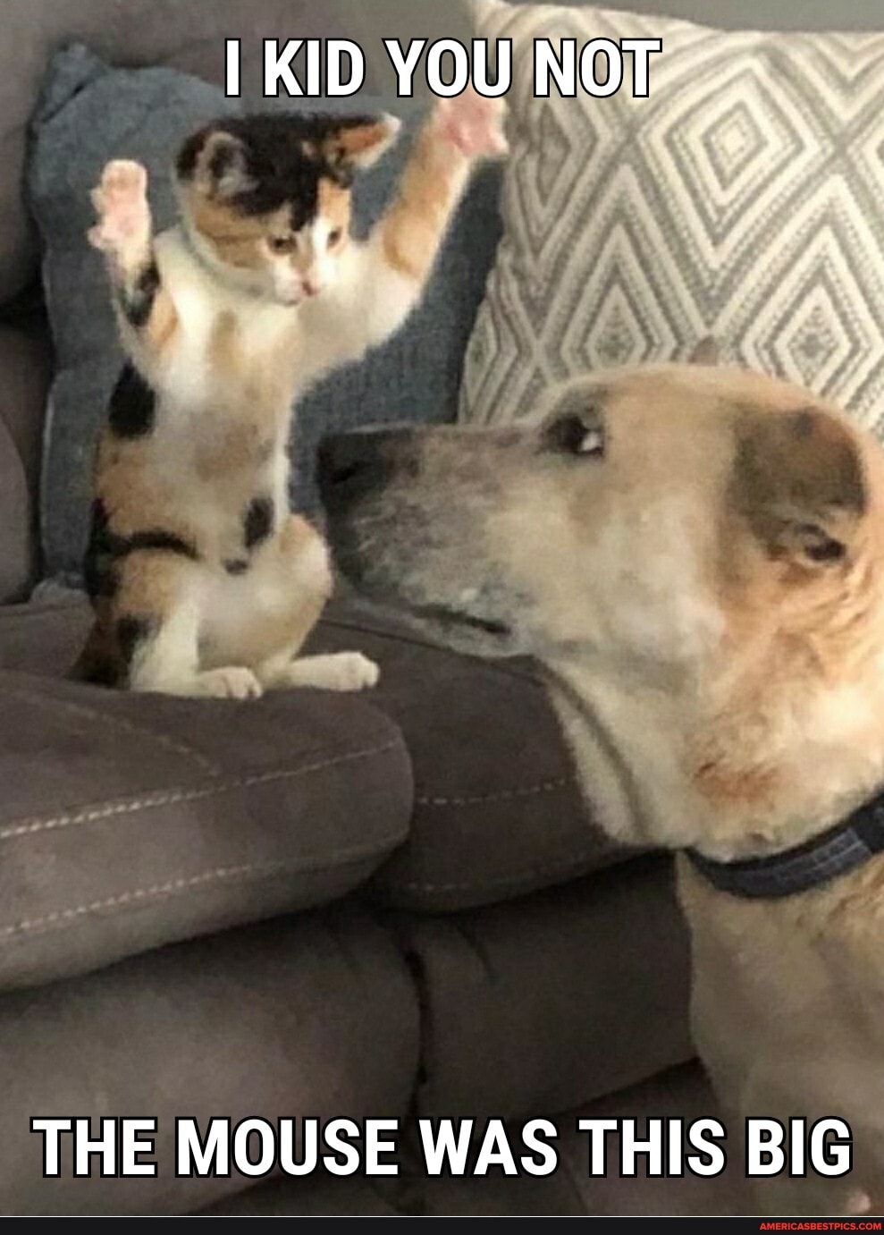 KID YOU NOT-.
THE MOUSE WAS THIS BIG