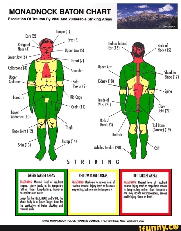 monadnock-baton-chart-escalation-of-trauma-by-vital-and-vuinerable-striking-areas-temple-1-te