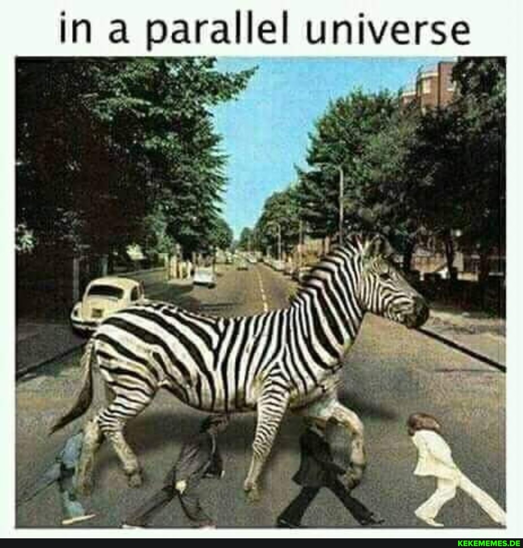 in a parallel universe