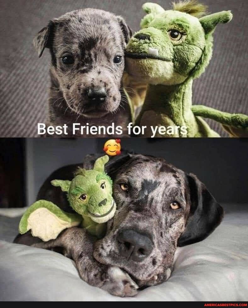 Bast Friends for years