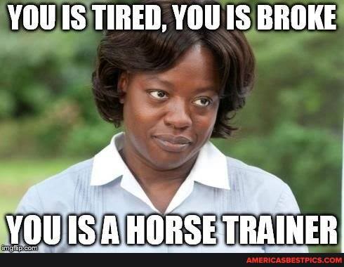 YOU IS TIRED, YOU IS BROKE
VAILIC HORCE TRAINER