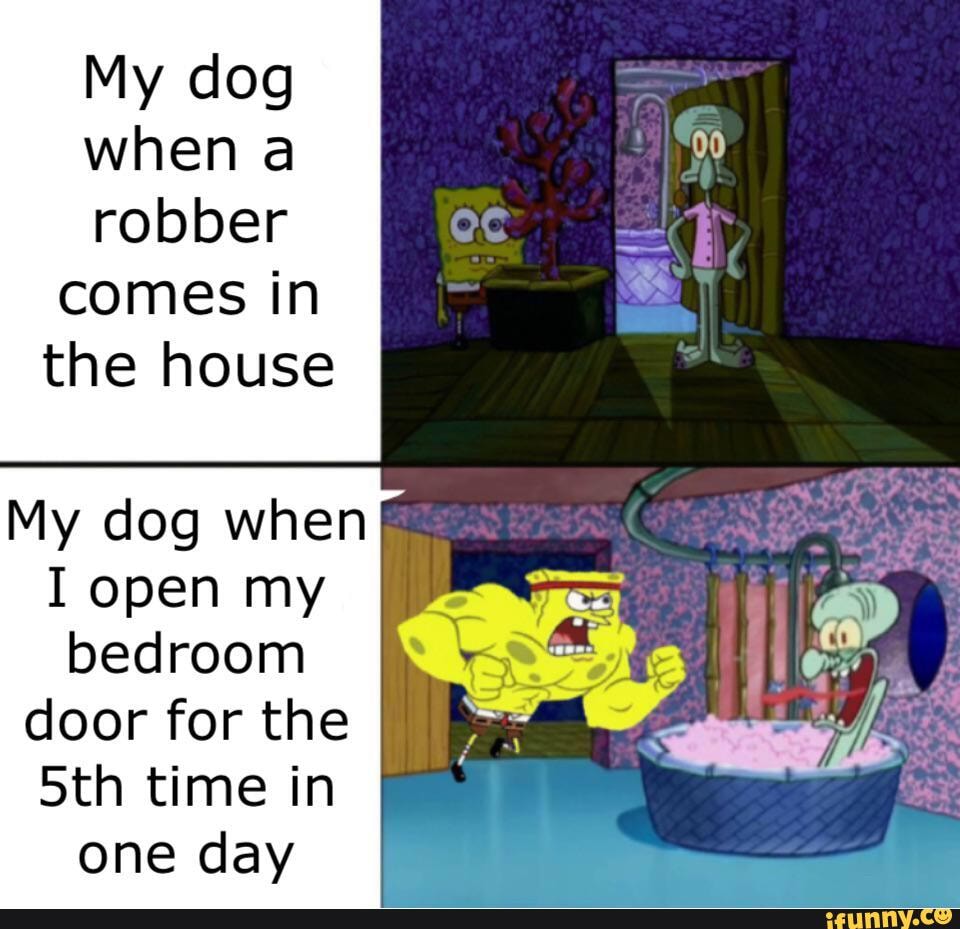 My dog when a robber comes in the house My dog when I open my bedroom