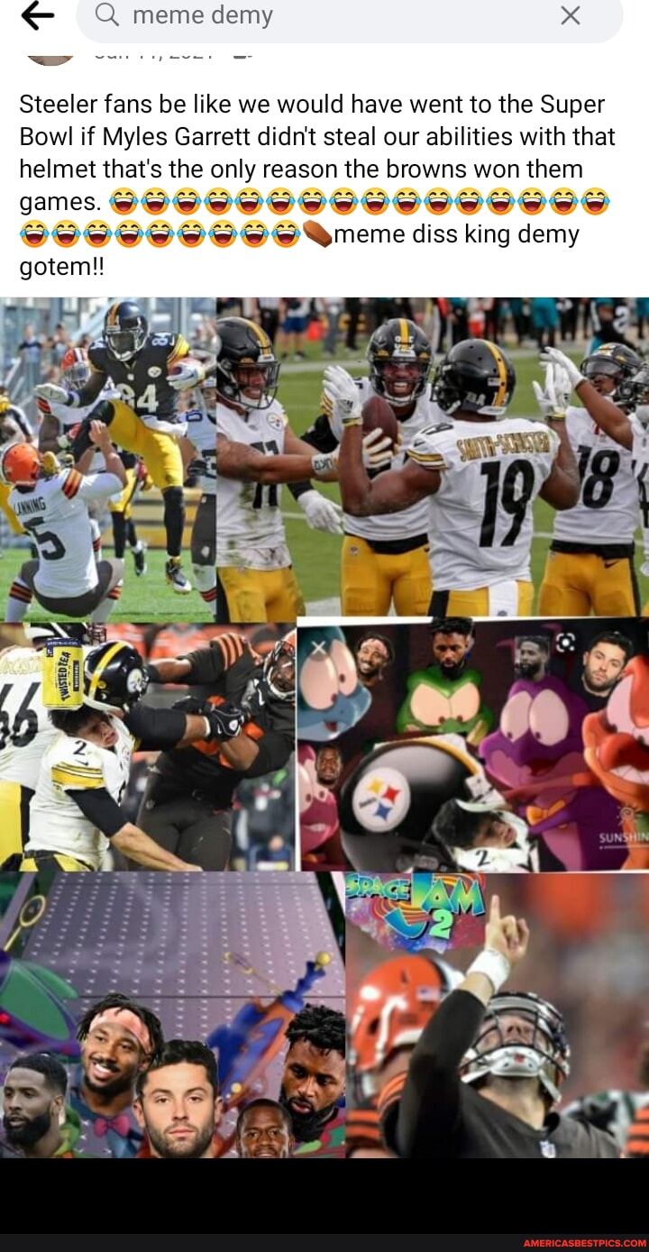 Meme de Steeler fans be like we would have went to the Super Bowl if ...